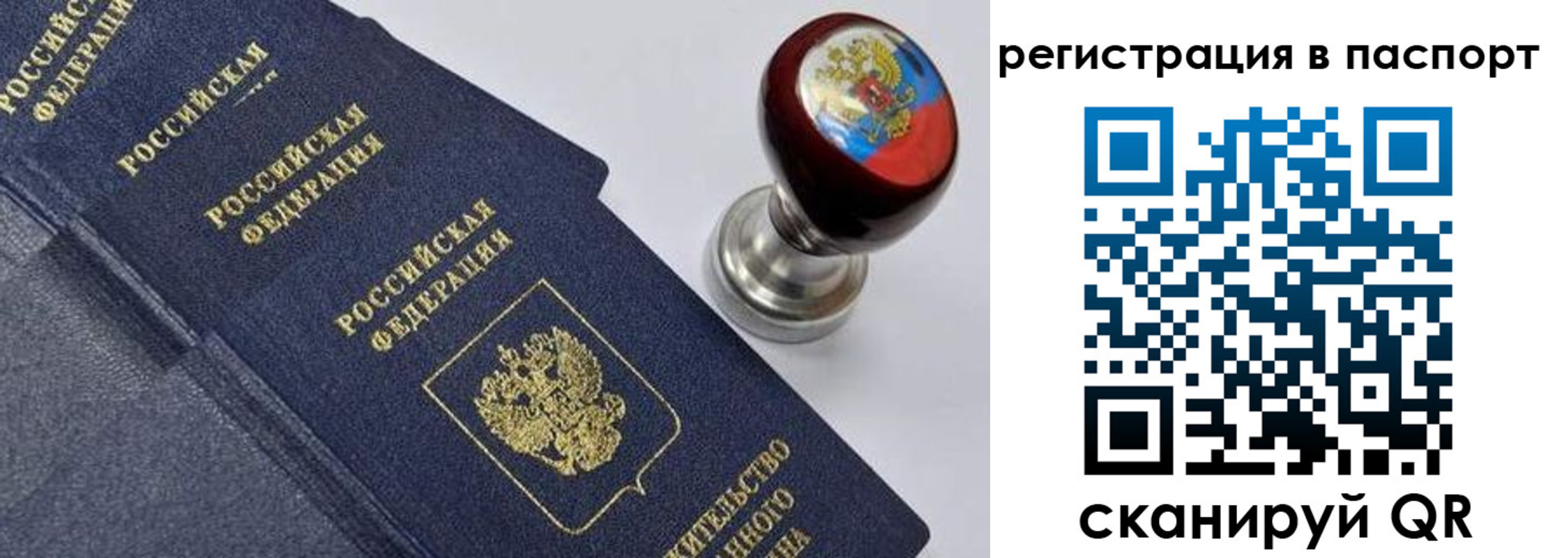 прописка поиск в Белокурихе
